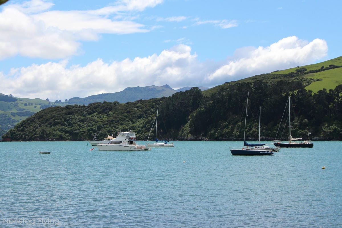 IMG_1530.jpg IMG_1530.jpg