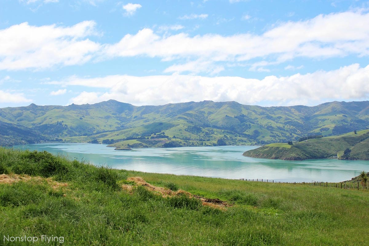 IMG_1342.jpg IMG_1342.jpg