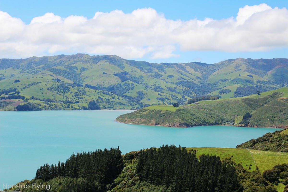 IMG_1520.jpg IMG_1520.jpg