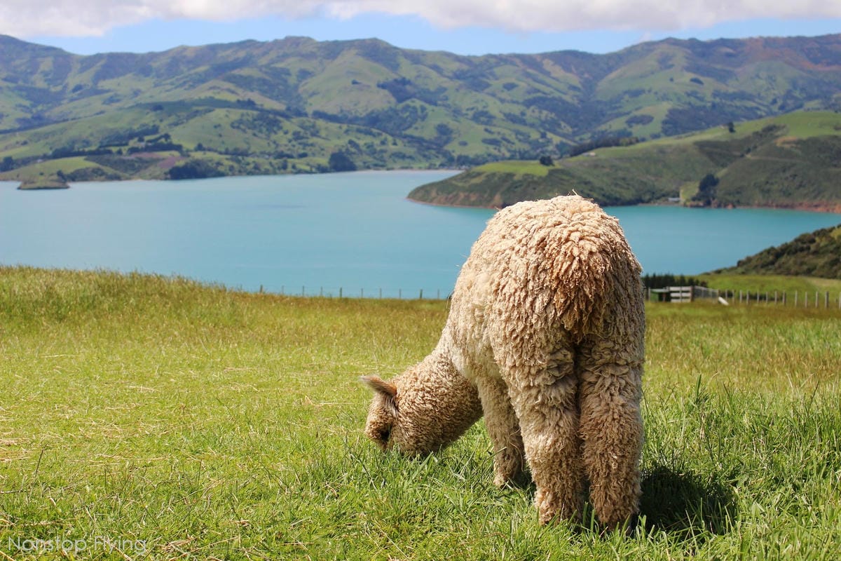 IMG_1505.jpg IMG_1505.jpg