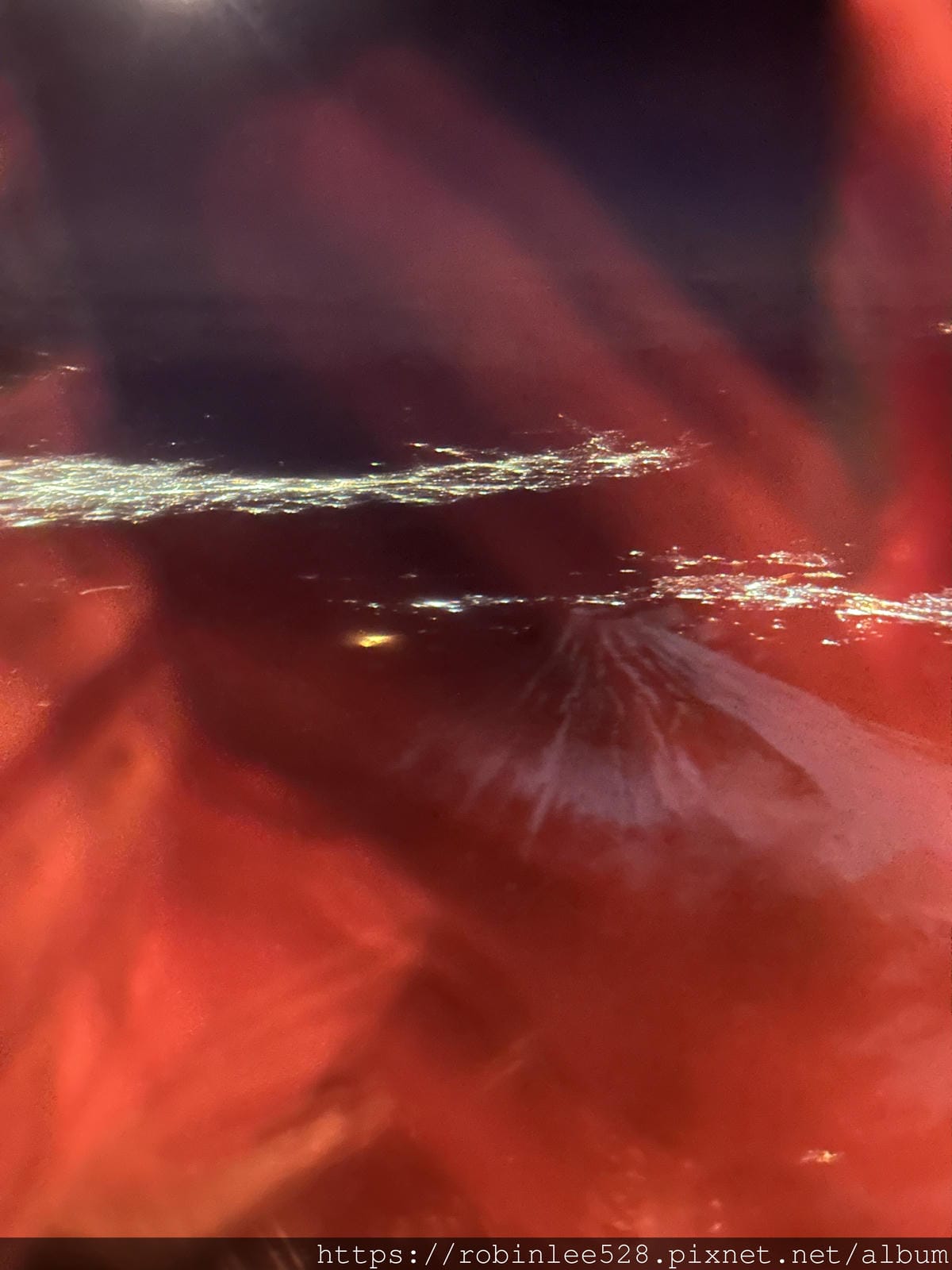 IMG-3250.jpg IMG-3250.jpg