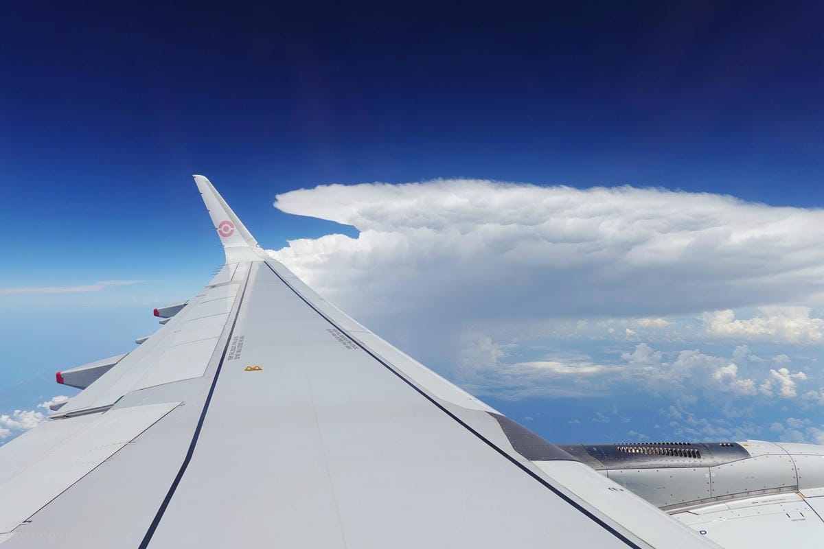 DSC02677.jpg DSC02677.jpg