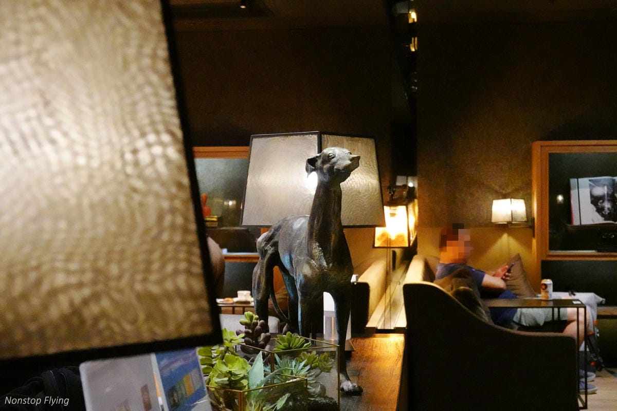 DSC02515.jpg DSC02515.jpg