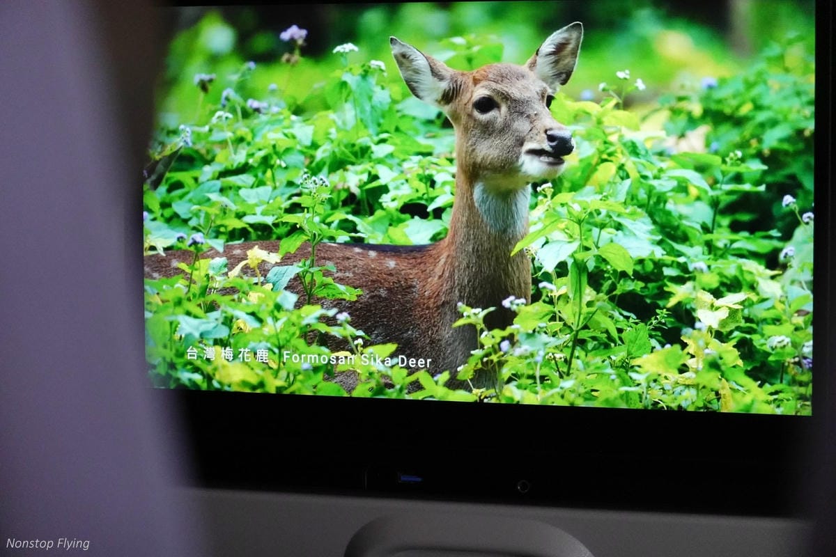 DSC03261.jpg DSC03261.jpg