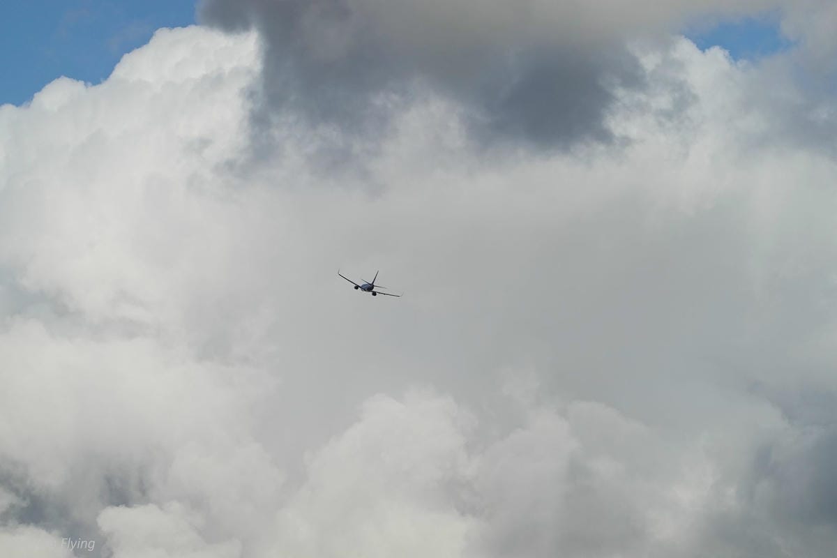 DSC06641.jpg DSC06641.jpg