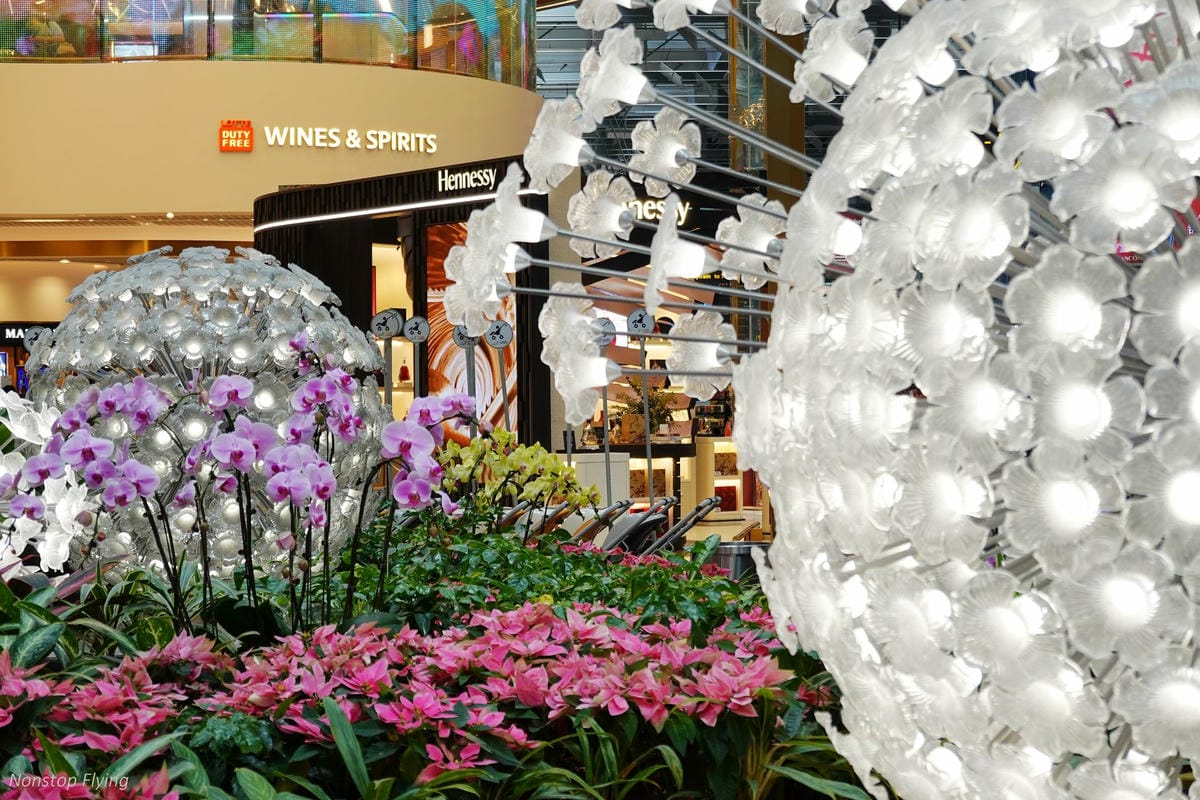 DSC00906.jpg DSC00906.jpg