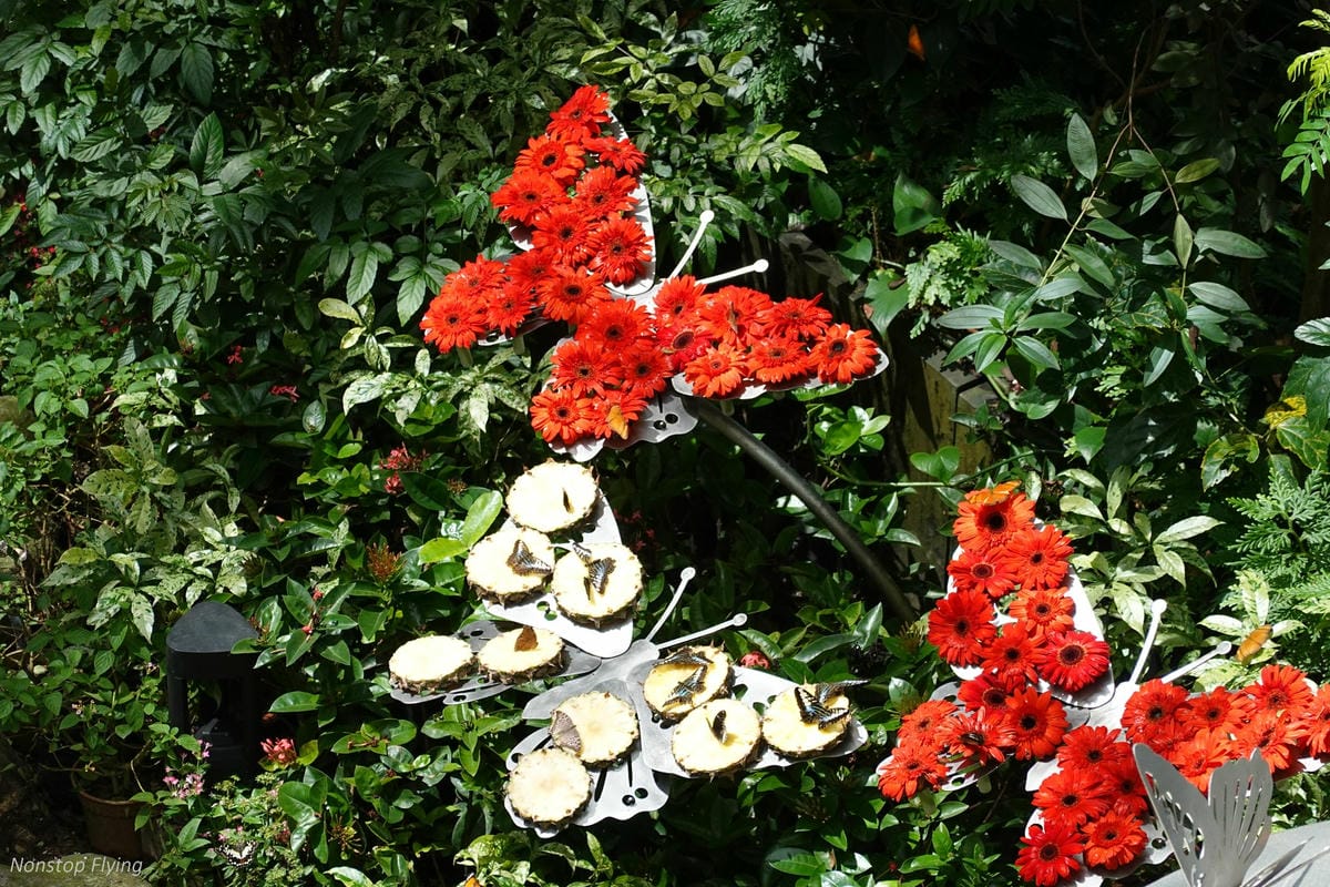 DSC00847.jpg DSC00847.jpg