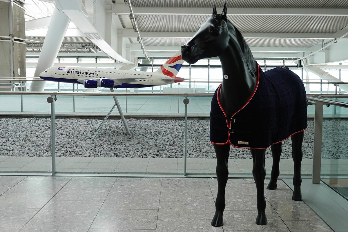 DSC06714.jpg DSC06714.jpg