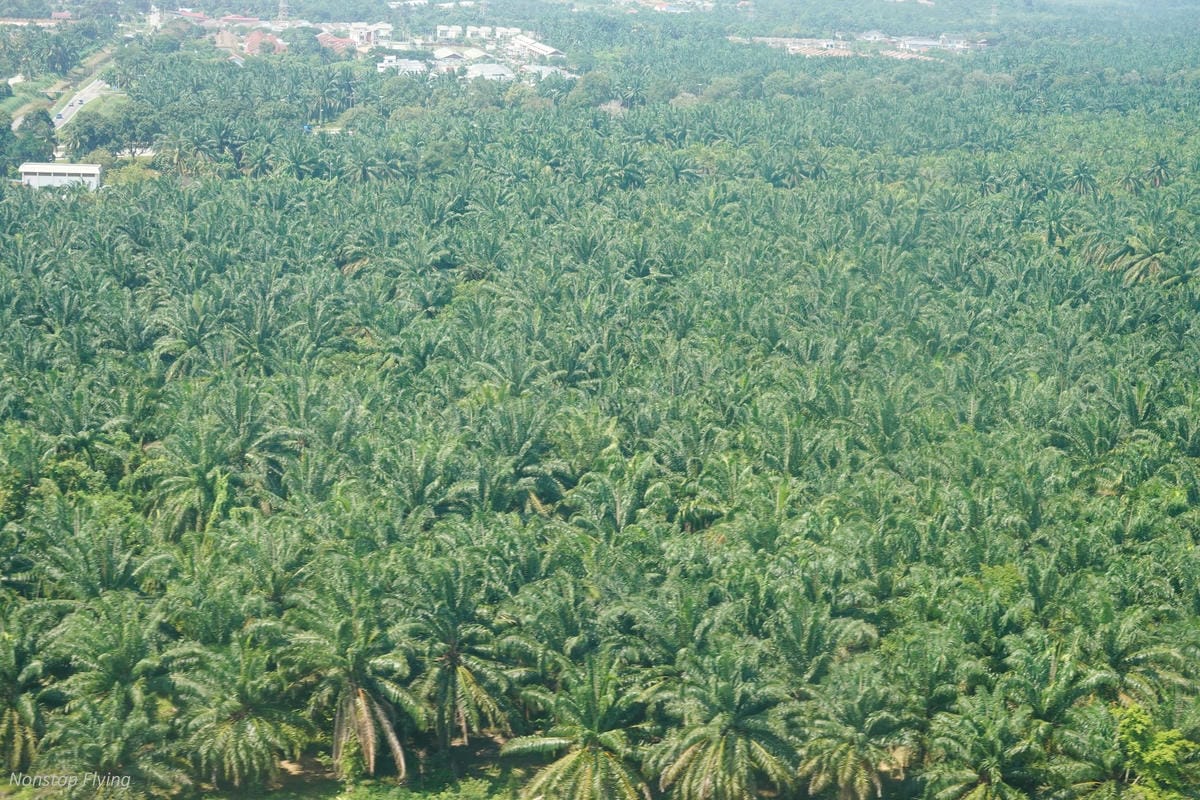 DSC09597.jpg DSC09597.jpg