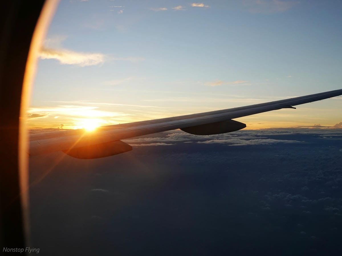 DSC03681.jpg DSC03681.jpg