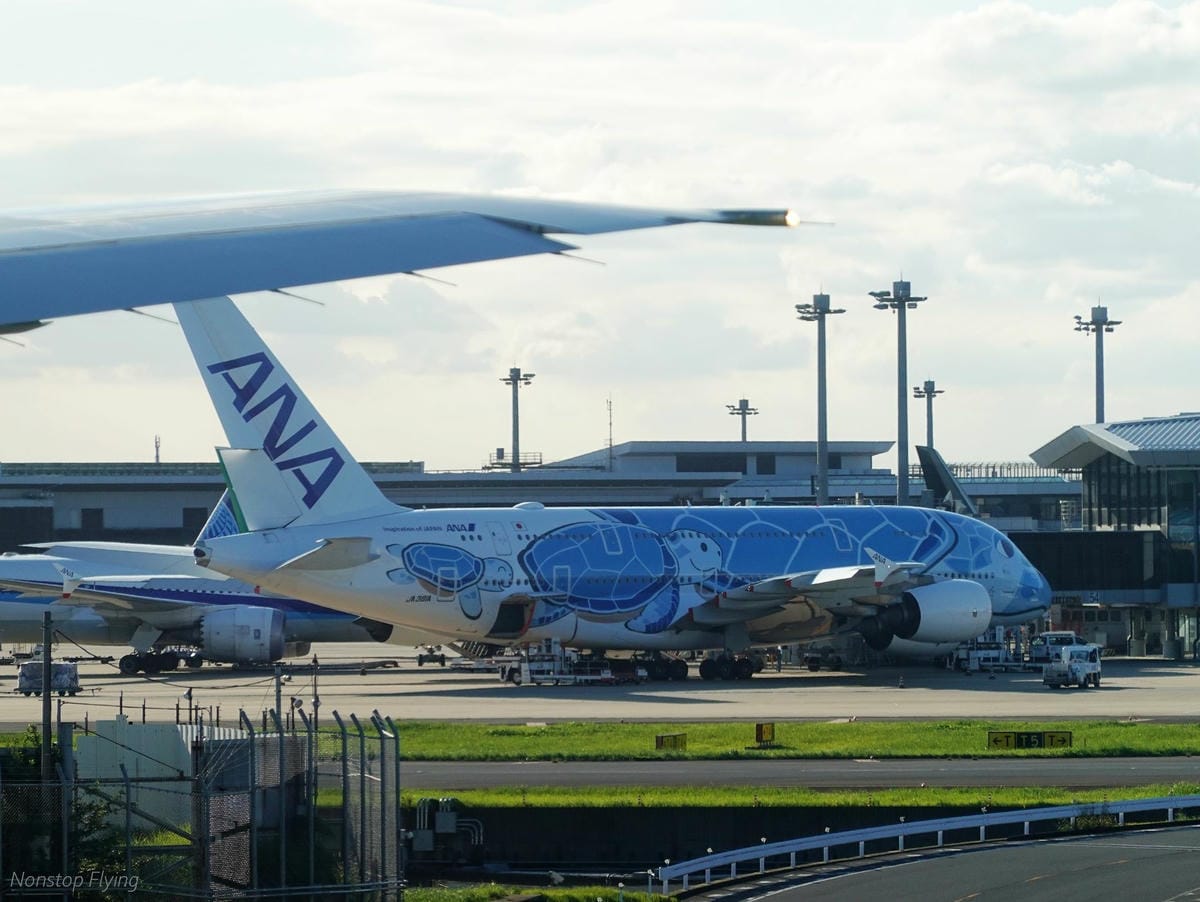 DSC03525.jpg DSC03525.jpg