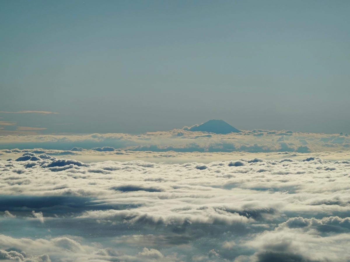 DSC03587.jpg DSC03587.jpg