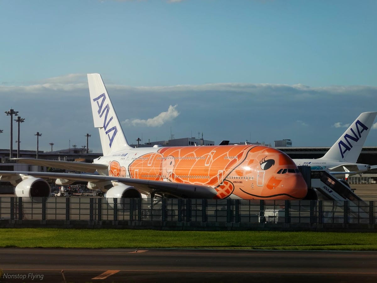 DSC03544.jpg DSC03544.jpg