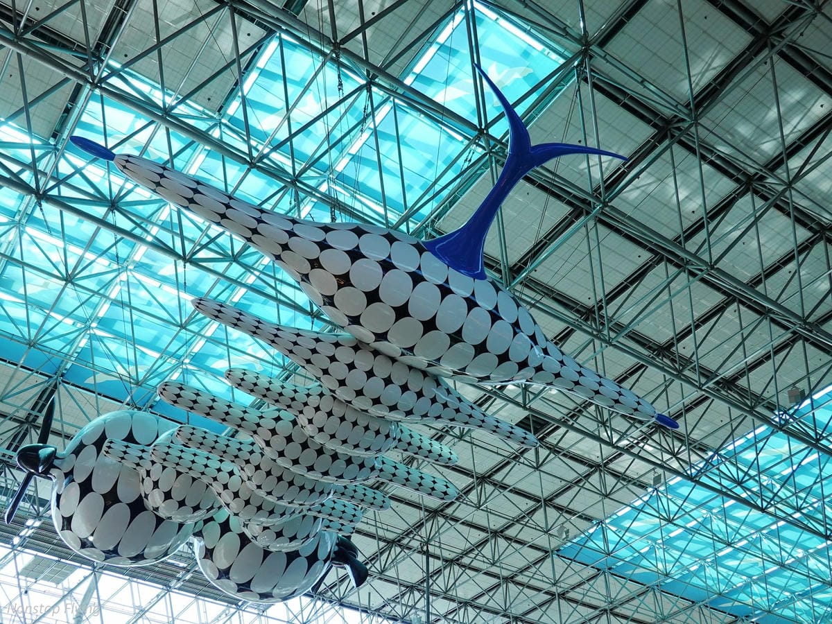 DSC03755.jpg DSC03755.jpg