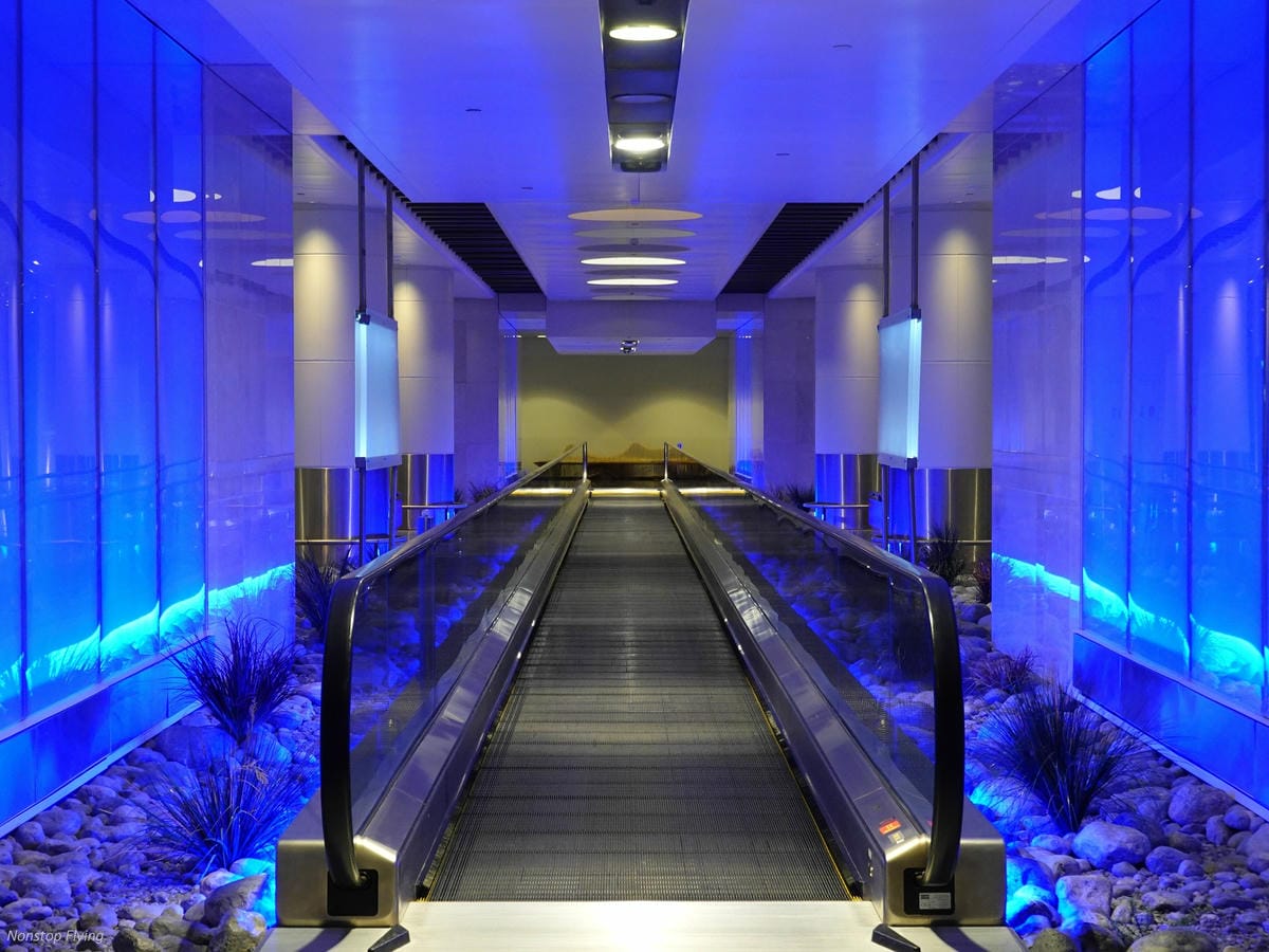 DSC05852.jpg DSC05852.jpg