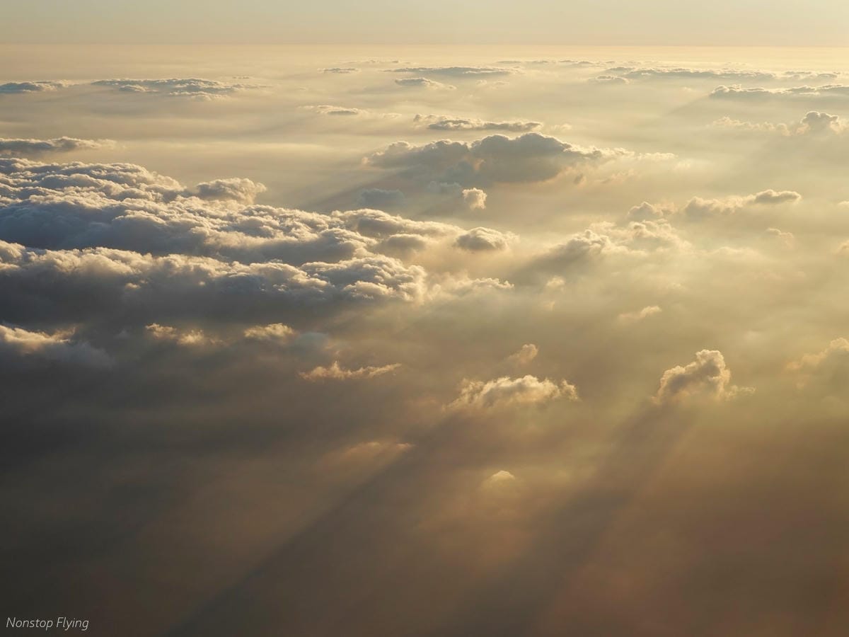 DSC06073.jpg DSC06073.jpg