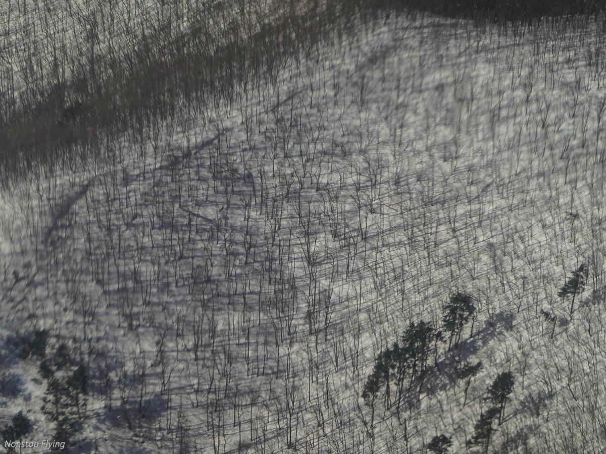 DSC00661.jpg DSC00661.jpg