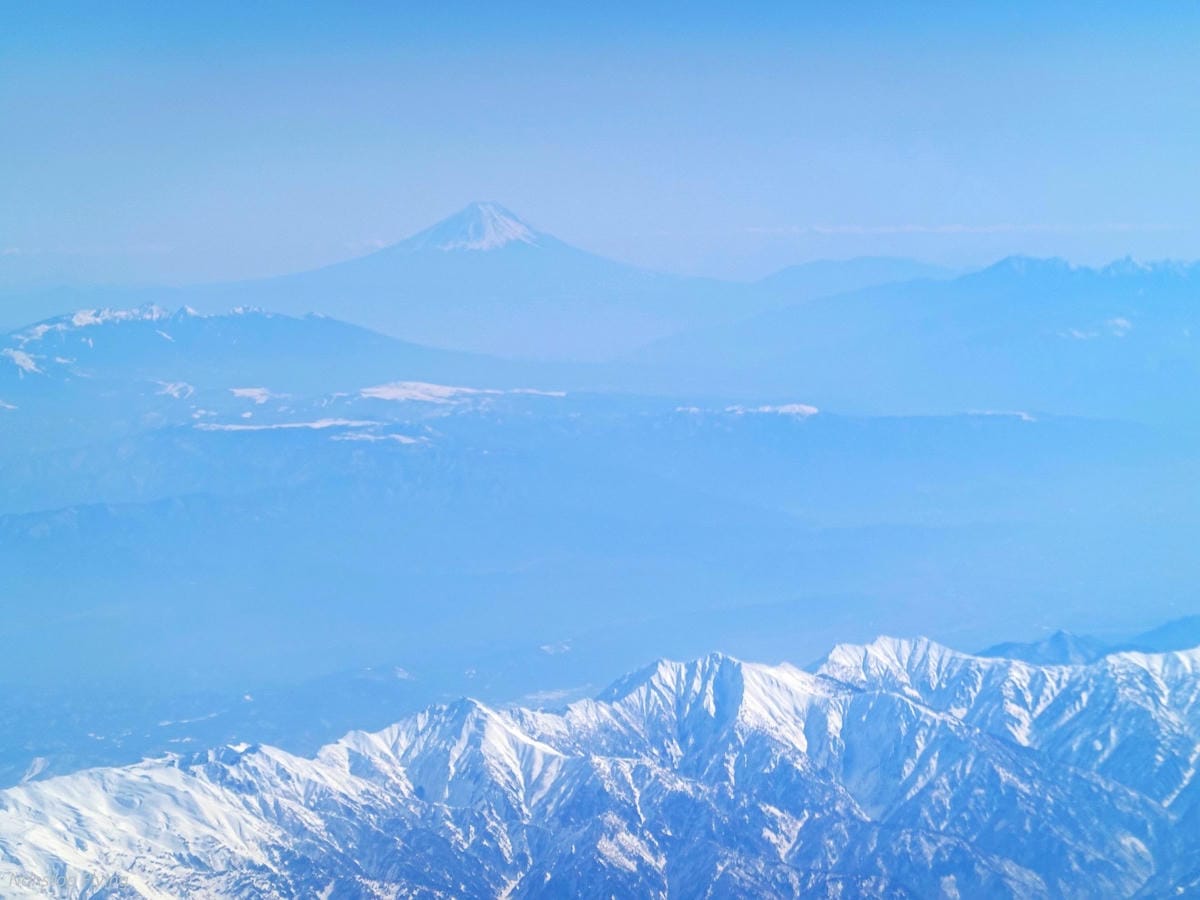 DSC00602.jpg DSC00602.jpg