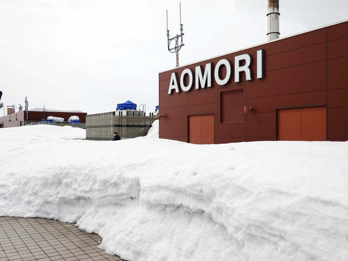 DSC01887.jpg DSC01887.jpg