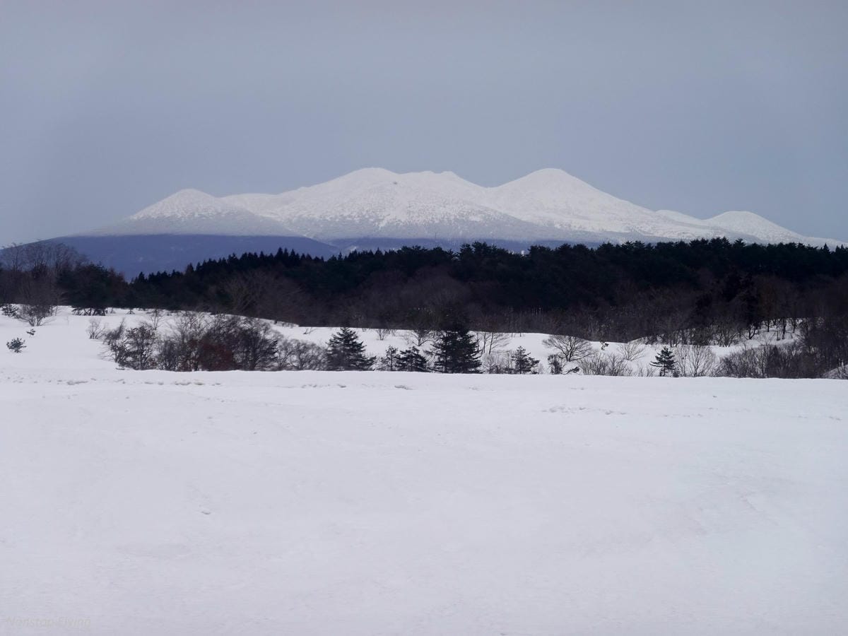 DSC01981.jpg DSC01981.jpg