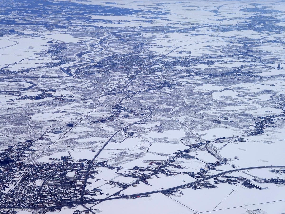 DSC02007.jpg DSC02007.jpg