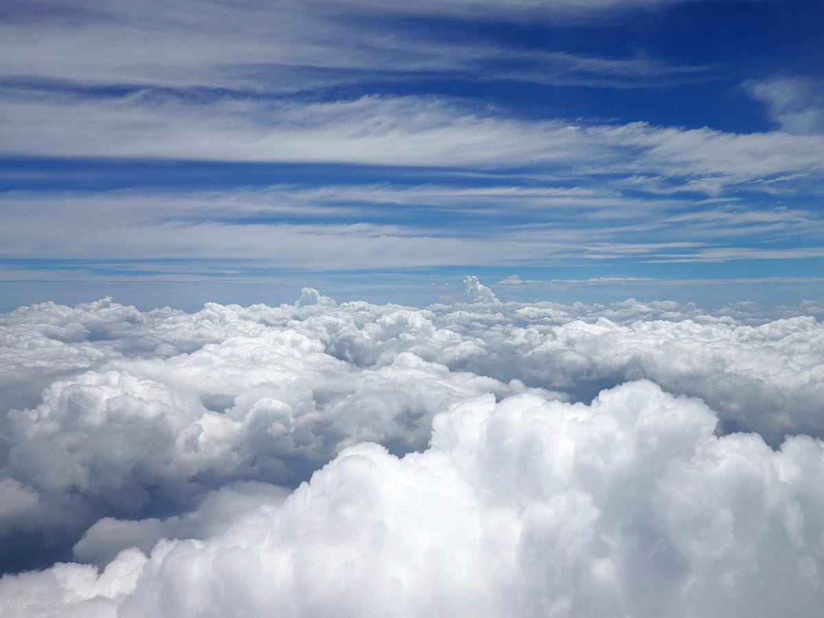 DSC02696.jpg DSC02696.jpg