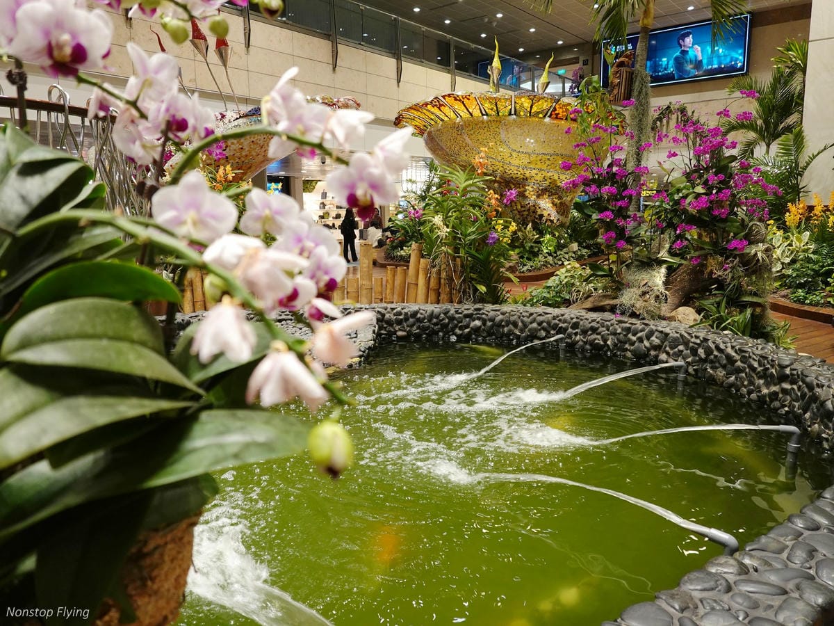 DSC02541.jpg DSC02541.jpg