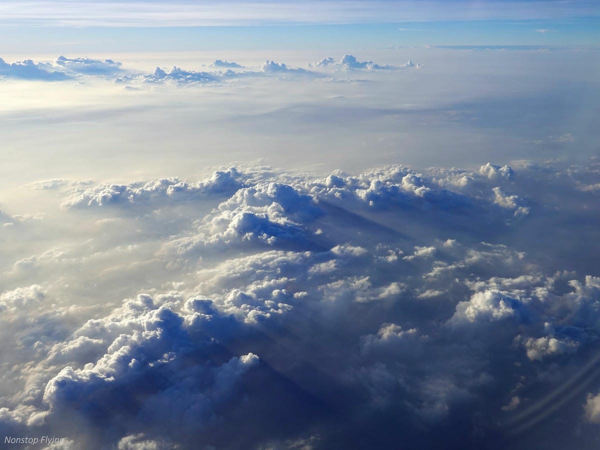 DSC03242.jpg DSC03242.jpg