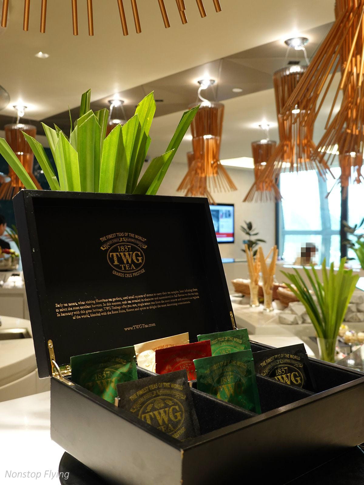 DSC03147.jpg DSC03147.jpg