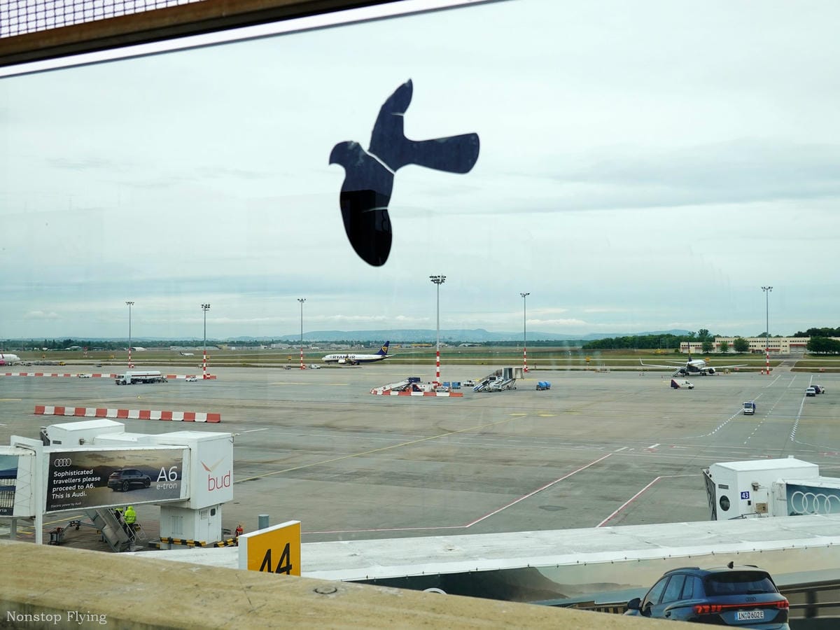 DSC04376.jpg DSC04376.jpg