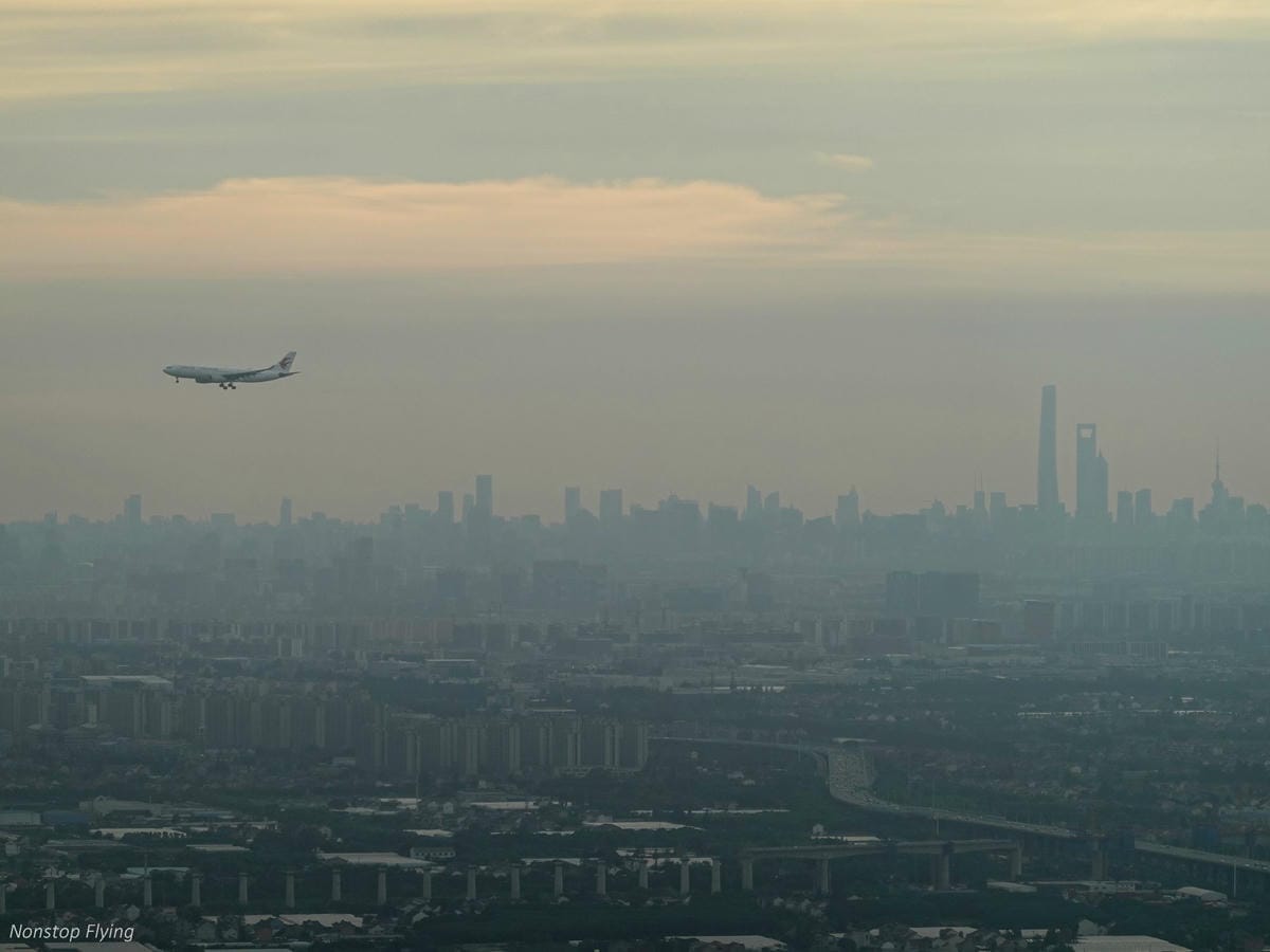 DSC06950.jpg DSC06950.jpg