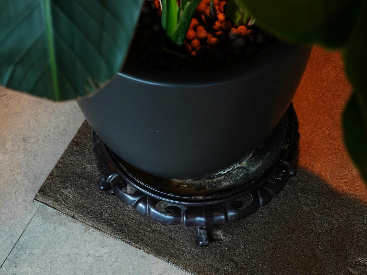 DSC07947.jpg DSC07947.jpg