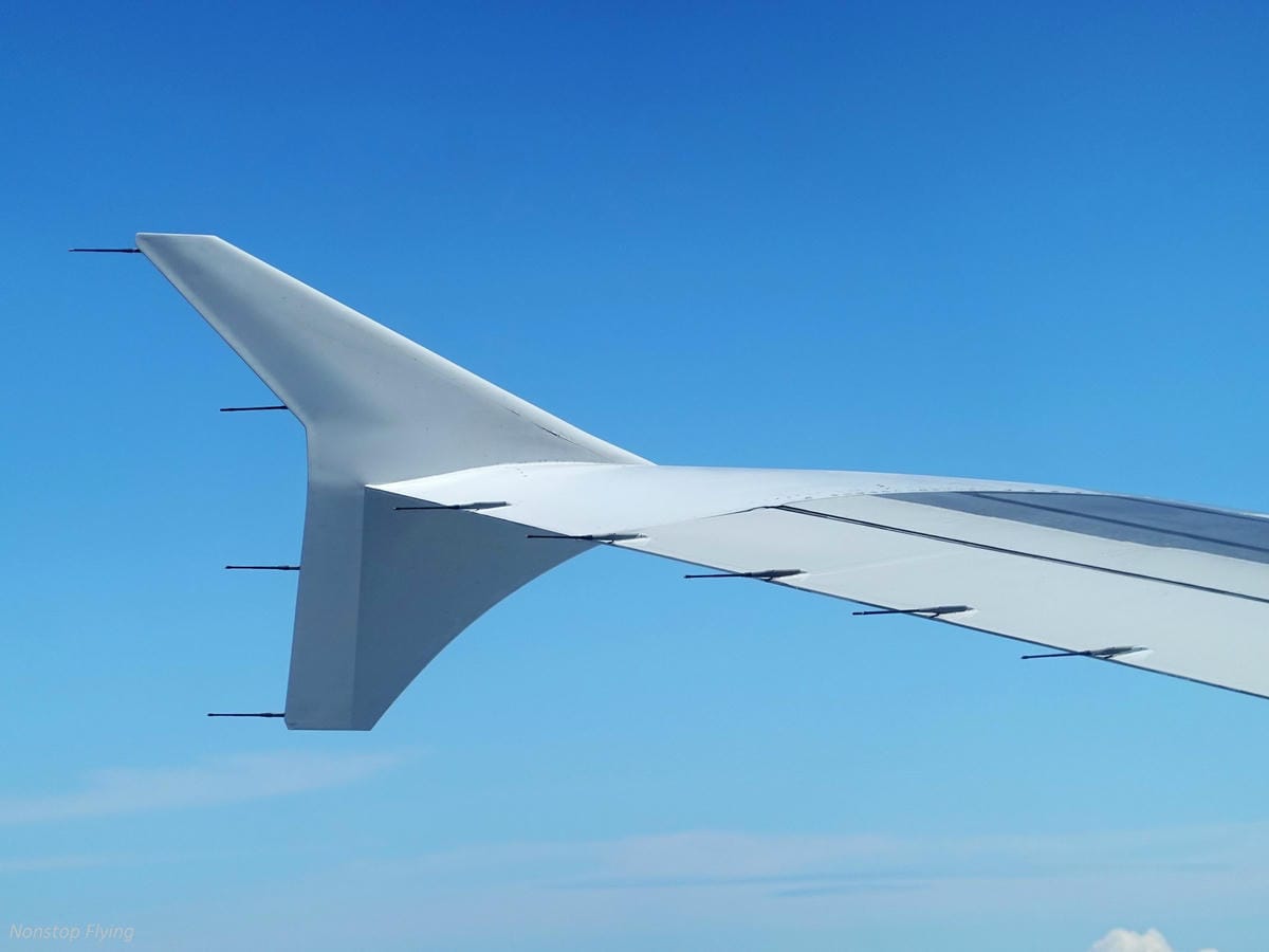 DSC08403.jpg DSC08403.jpg