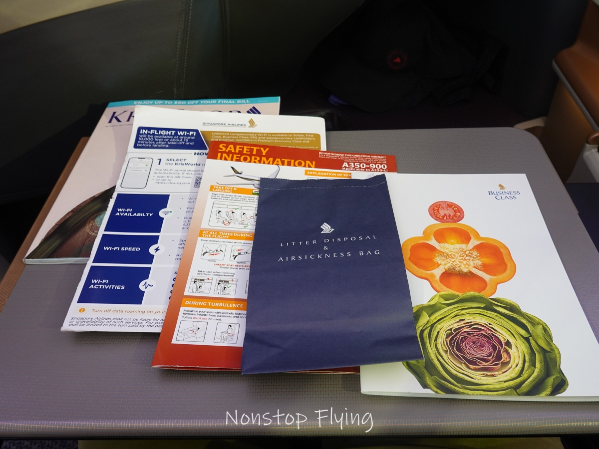 2025.09.19 新加坡航空 SQ391 伊斯坦堡-新加坡 A350-900商務艙飛行記錄