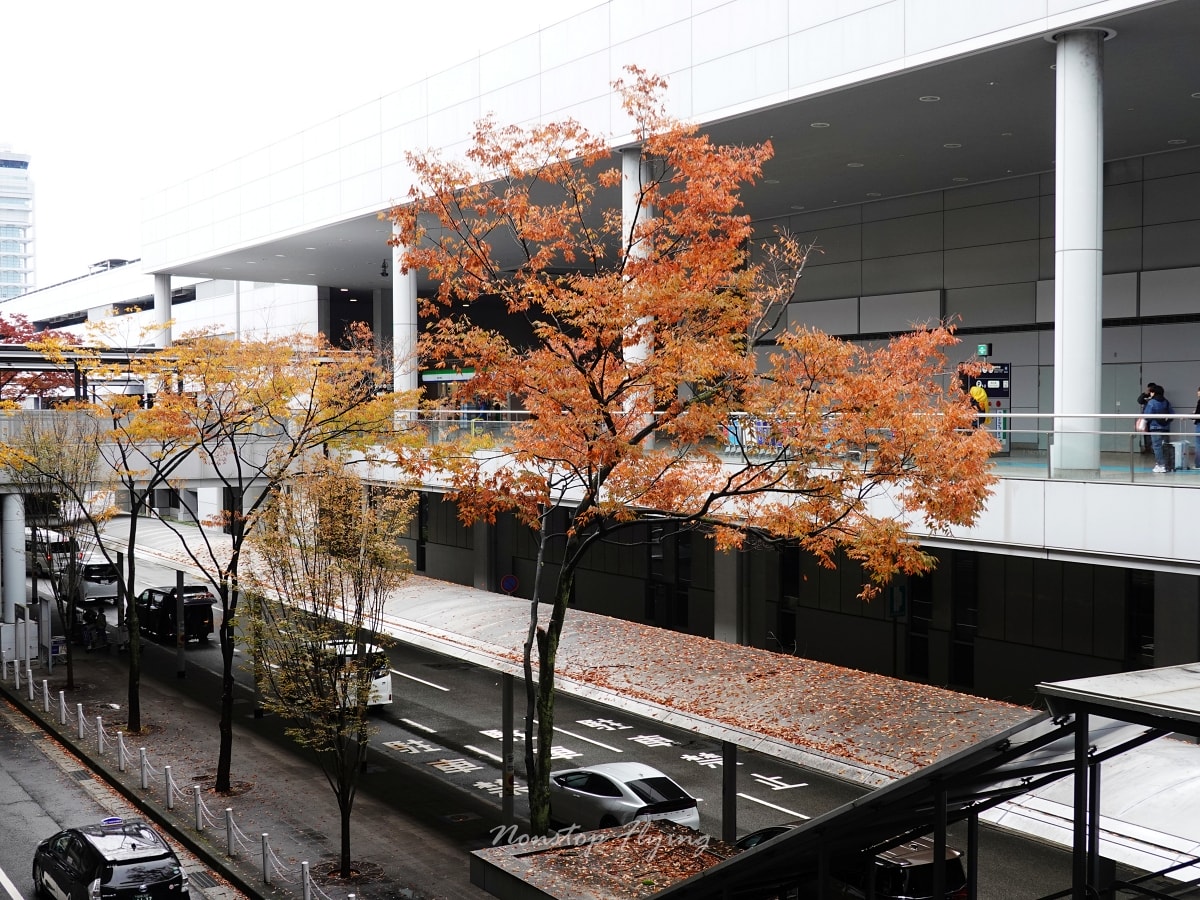 2025.11.25 國泰航空 CX565 大阪-台北 777-300 商務艙飛行記錄 - 第2張圖 2025.11.25 國泰航空 CX565 大阪-台北 777-300 商務艙飛行記錄